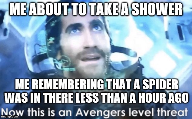 Now this is an Avengers level threat | ME ABOUT TO TAKE A SHOWER; ME REMEMBERING THAT A SPIDER WAS IN THERE LESS THAN A HOUR AGO | image tagged in now this is an avengers level threat | made w/ Imgflip meme maker