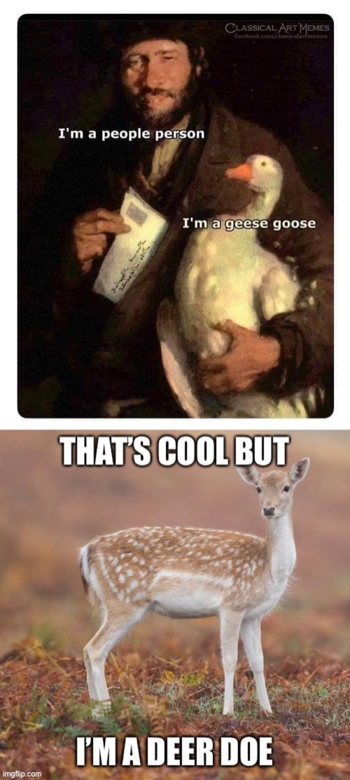 Goose geese | image tagged in animals,funny | made w/ Imgflip meme maker