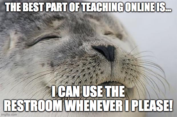Satisfied Seal Meme | THE BEST PART OF TEACHING ONLINE IS... I CAN USE THE RESTROOM WHENEVER I PLEASE! | image tagged in memes,satisfied seal | made w/ Imgflip meme maker