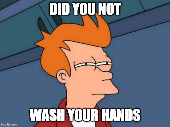 Futurama Fry | DID YOU NOT; WASH YOUR HANDS | image tagged in memes,futurama fry | made w/ Imgflip meme maker