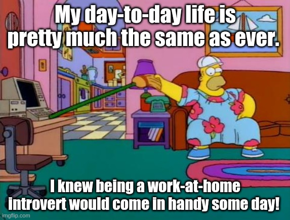 Working from Home Homer | My day-to-day life is pretty much the same as ever. I knew being a work-at-home introvert would come in handy some day! | image tagged in working from home homer | made w/ Imgflip meme maker