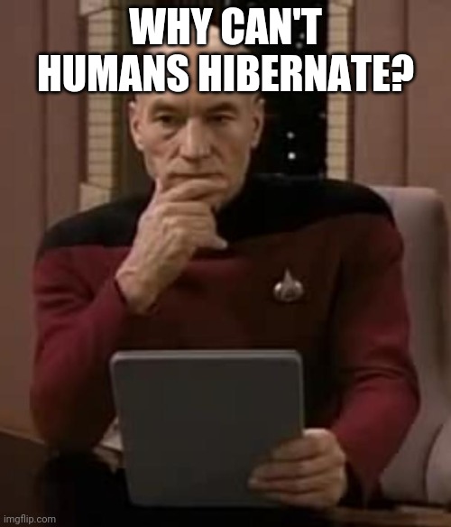 picard thinking | WHY CAN'T HUMANS HIBERNATE? | image tagged in picard thinking | made w/ Imgflip meme maker