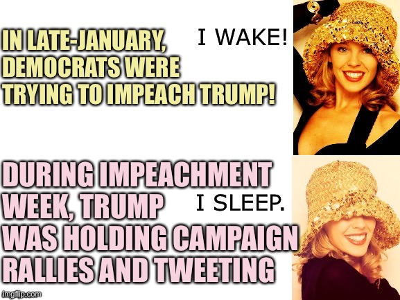 Trump didn't even bother to show up in the Senate to defend impeachment charges, so this new line of attack against Dems is moot | IN LATE-JANUARY, DEMOCRATS WERE TRYING TO IMPEACH TRUMP! DURING IMPEACHMENT WEEK, TRUMP WAS HOLDING CAMPAIGN RALLIES AND TWEETING | image tagged in kylie i wake/i sleep,covid-19,coronavirus,trump impeachment,conservative logic,conservative hypocrisy | made w/ Imgflip meme maker