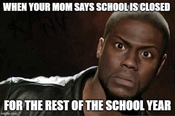 Kevin Hart | WHEN YOUR MOM SAYS SCHOOL IS CLOSED; FOR THE REST OF THE SCHOOL YEAR | image tagged in memes,kevin hart | made w/ Imgflip meme maker