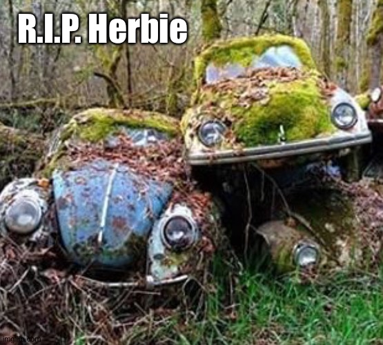 R.I.P. Herbie | made w/ Imgflip meme maker