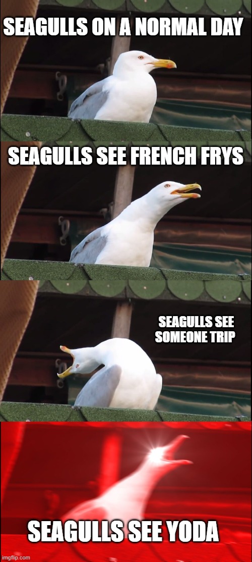Inhaling Seagull | SEAGULLS ON A NORMAL DAY; SEAGULLS SEE FRENCH FRYS; SEAGULLS SEE SOMEONE TRIP; SEAGULLS SEE YODA | image tagged in memes,inhaling seagull | made w/ Imgflip meme maker
