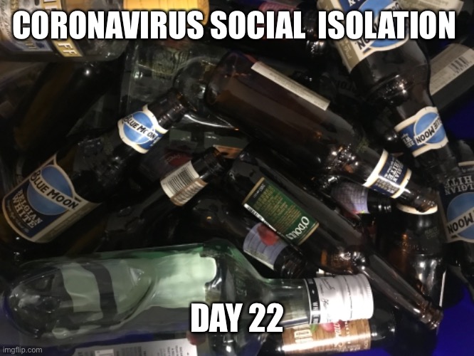 Social isolation | CORONAVIRUS SOCIAL  ISOLATION; DAY 22 | image tagged in funny | made w/ Imgflip meme maker