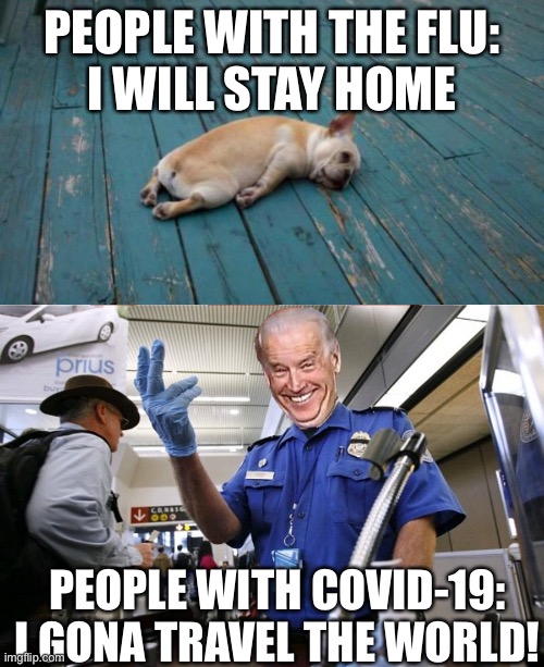 I do not know what to do with my life. | PEOPLE WITH THE FLU:
I WILL STAY HOME; PEOPLE WITH COVID-19:
I GONA TRAVEL THE WORLD! | image tagged in tired dog,creepy joe biden,memes,funny,09pandaboy,covid-19 | made w/ Imgflip meme maker