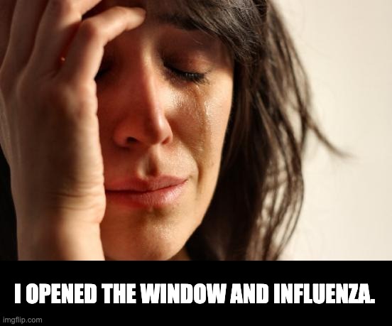 First World Problems | I OPENED THE WINDOW AND INFLUENZA. | image tagged in memes,first world problems | made w/ Imgflip meme maker
