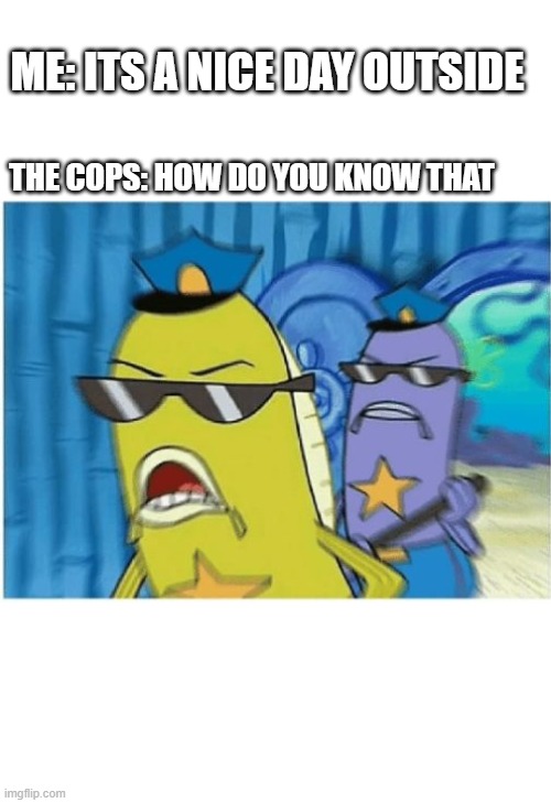 Spongebob Police | ME: ITS A NICE DAY OUTSIDE; THE COPS: HOW DO YOU KNOW THAT | image tagged in spongebob police | made w/ Imgflip meme maker