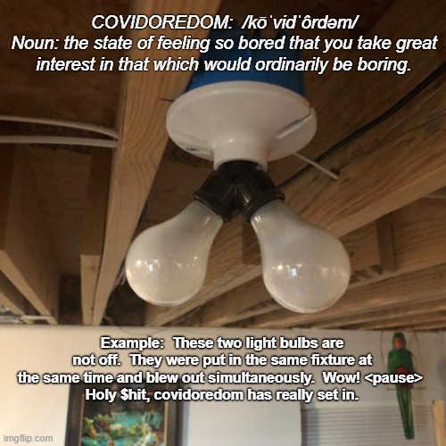 COVIDOREDOM:  /kōˈvidˈôrdəm/
Noun: the state of feeling so bored that you take great interest in that which would ordinarily be boring. Example:  These two light bulbs are not off.  They were put in the same fixture at the same time and blew out simultaneously.  Wow! <pause> 
Holy $hit, covidoredom has really set in. | image tagged in covid,bored,boredom | made w/ Imgflip meme maker