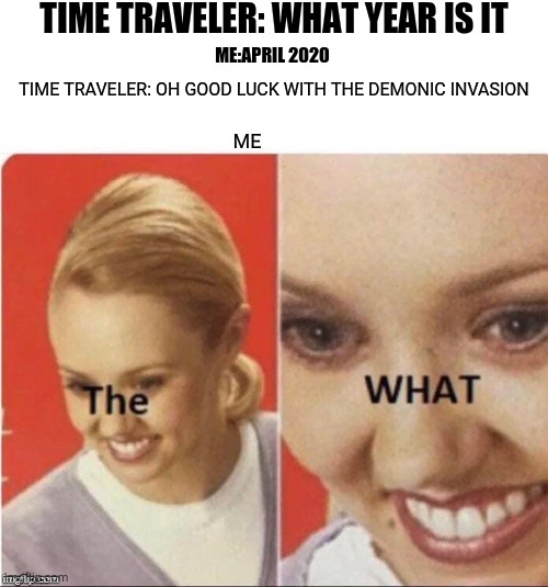 the what? | TIME TRAVELER: WHAT YEAR IS IT; ME:APRIL 2020; TIME TRAVELER: OH GOOD LUCK WITH THE DEMONIC INVASION; ME | image tagged in the what | made w/ Imgflip meme maker