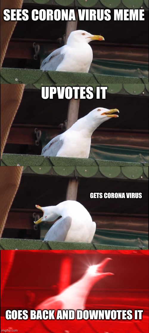 Inhaling Seagull | SEES CORONA VIRUS MEME; UPVOTES IT; GETS CORONA VIRUS; GOES BACK AND DOWNVOTES IT | image tagged in memes,inhaling seagull | made w/ Imgflip meme maker
