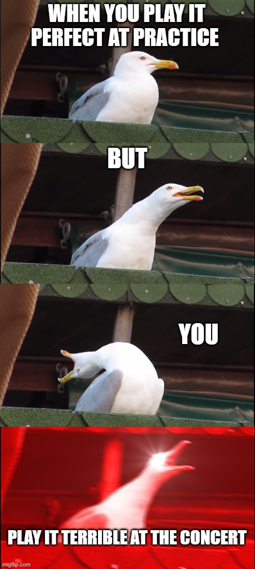 Inhaling Seagull | WHEN YOU PLAY IT PERFECT AT PRACTICE; BUT; YOU; PLAY IT TERRIBLE AT THE CONCERT | image tagged in memes,inhaling seagull | made w/ Imgflip meme maker