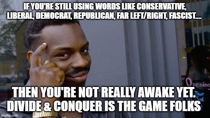 Roll Safe Think About It | IF YOU'RE STILL USING WORDS LIKE CONSERVATIVE, LIBERAL, DEMOCRAT, REPUBLICAN, FAR LEFT/RIGHT, FASCIST.... THEN YOU'RE NOT REALLY AWAKE YET. 
DIVIDE & CONQUER IS THE GAME FOLKS | image tagged in memes,roll safe think about it,agenda,illuminati,end game,divide and conquer | made w/ Imgflip meme maker