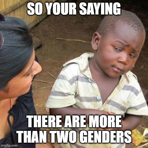 Third World Skeptical Kid Meme | SO YOUR SAYING; THERE ARE MORE THAN TWO GENDERS | image tagged in memes,third world skeptical kid | made w/ Imgflip meme maker