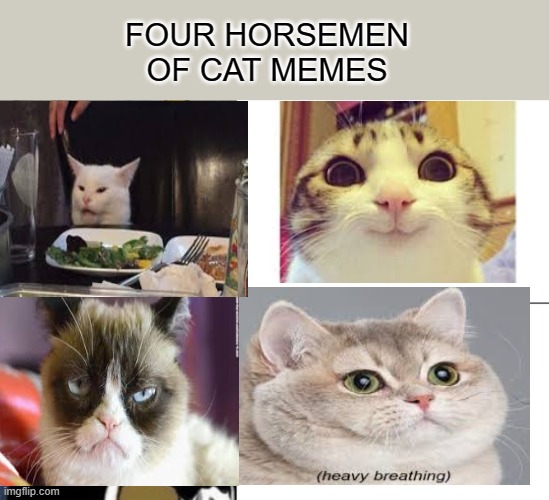 FOUR HORSEMEN OF CAT MEMES | FOUR HORSEMEN OF CAT MEMES | image tagged in memes,tuxedo winnie the pooh | made w/ Imgflip meme maker