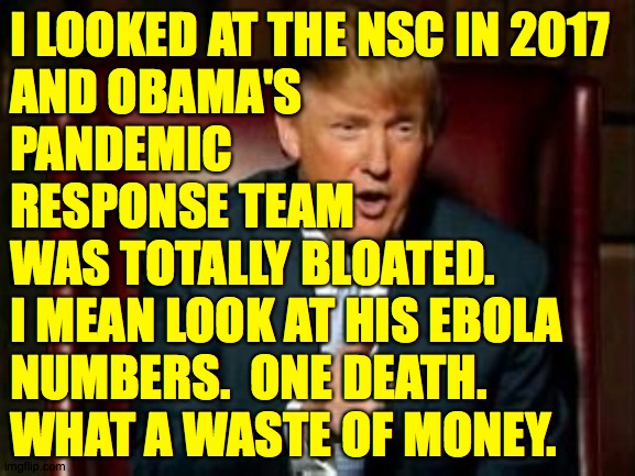 That's so Obama. | I LOOKED AT THE NSC IN 2017
AND OBAMA'S
PANDEMIC
RESPONSE TEAM
WAS TOTALLY BLOATED.
I MEAN LOOK AT HIS EBOLA
NUMBERS.  ONE DEATH.
WHAT A WASTE OF MONEY. | image tagged in memes,coronavirus,that's so obama,downsizing,numbers,efficiency expert trump | made w/ Imgflip meme maker
