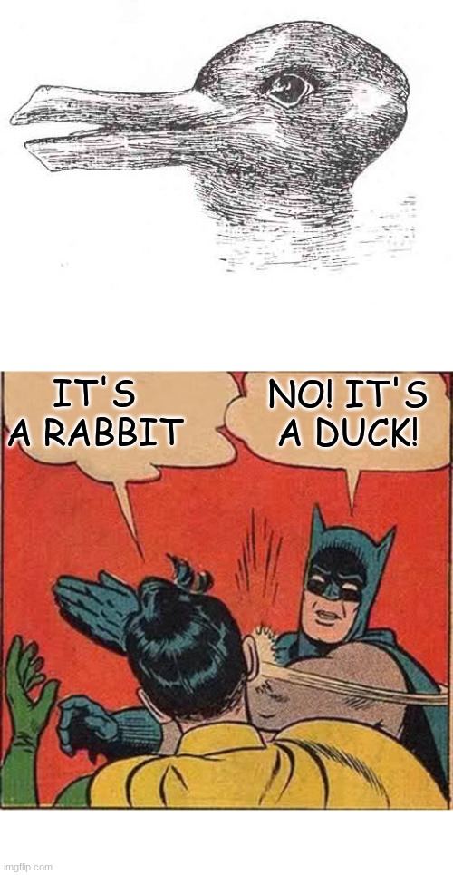 NO! IT'S A DUCK! IT'S A RABBIT | image tagged in memes,batman slapping robin | made w/ Imgflip meme maker