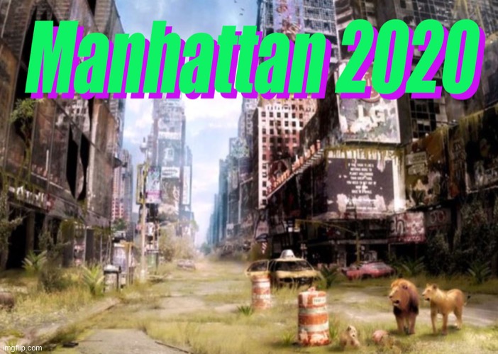 Empty Street of Manhatten | image tagged in manhattan 2020,abandoned,scary times,covid-19,coronavirus | made w/ Imgflip meme maker