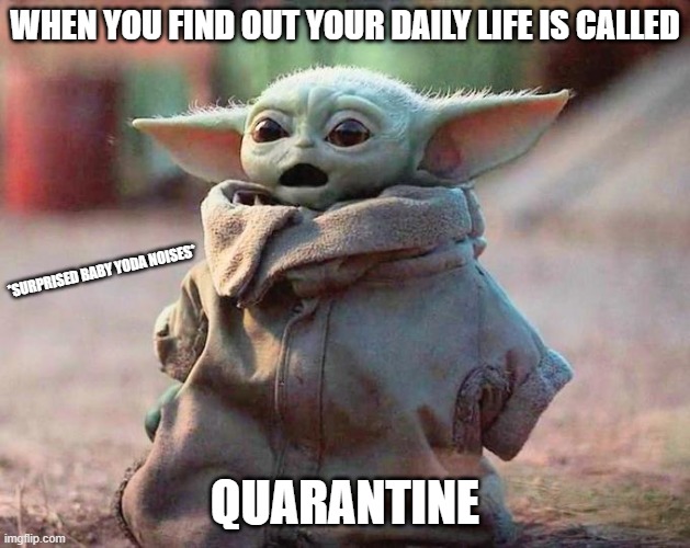 Surprised Baby Yoda | WHEN YOU FIND OUT YOUR DAILY LIFE IS CALLED; *SURPRISED BABY YODA NOISES*; QUARANTINE | image tagged in surprised baby yoda,funny,quarantine | made w/ Imgflip meme maker