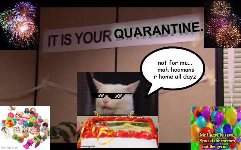 It Is Your Birthday | QUARANTINE. not for me...  mah hoomans r home all dayz; Mr.JiggyFly says,
"Spread the memes,
not the germs." | image tagged in it is your birthday,coronavirus,covid-19,quarantine,hand sanitizer,toilet paper | made w/ Imgflip meme maker