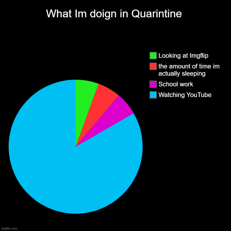 What Im doign in Quarintine | Watching YouTube , School work, the amount of time im actually sleeping, Looking at Imgflip | image tagged in charts,pie charts | made w/ Imgflip chart maker