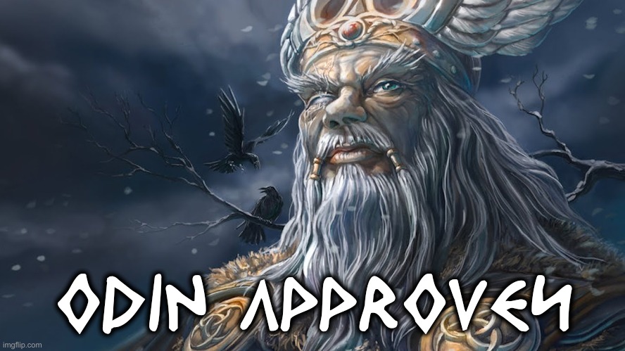 Odin Approves | ODIN APPROVES | image tagged in odin | made w/ Imgflip meme maker