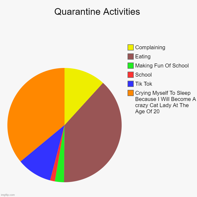Quarantine Activities | Crying Myself To Sleep Because I Will Become A crazy Cat Lady At The Age Of 20, Tik Tok, School, Making Fun Of Schoo | image tagged in charts,pie charts,quarantine,sad,online | made w/ Imgflip chart maker