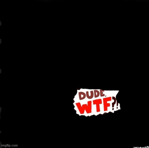 Srgrafo dude wtf | image tagged in srgrafo dude wtf | made w/ Imgflip meme maker