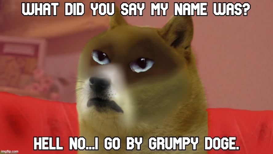 Grumpy Doge arises | image tagged in grumpy cat,doge,grumpy dog | made w/ Imgflip meme maker