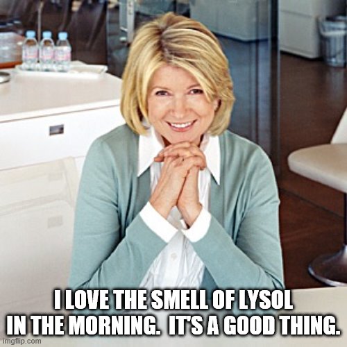 martha stewart |  I LOVE THE SMELL OF LYSOL IN THE MORNING.  IT'S A GOOD THING. | image tagged in martha stewart | made w/ Imgflip meme maker