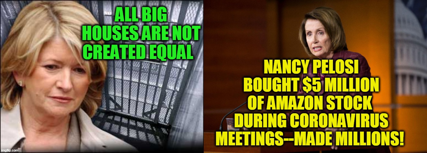 Martha sold stock to AVOID LOSS, Nancy bought stock & MADE MILLIONS | ALL BIG HOUSES ARE NOT CREATED EQUAL; NANCY PELOSI BOUGHT $5 MILLION OF AMAZON STOCK  DURING CORONAVIRUS MEETINGS--MADE MILLIONS! | image tagged in politics,political meme,hypocrisy,politicians,government corruption,congress | made w/ Imgflip meme maker