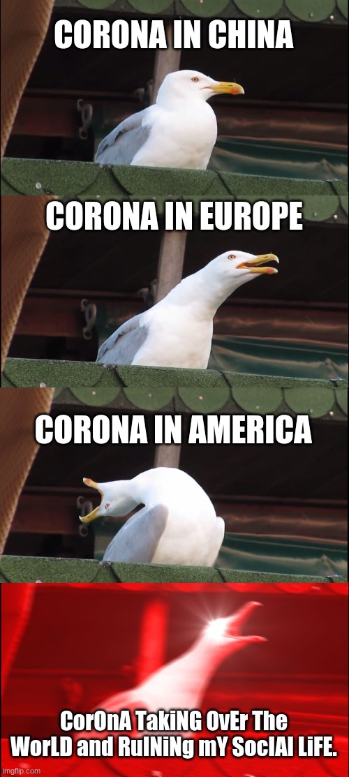 Inhaling Seagull | CORONA IN CHINA; CORONA IN EUROPE; CORONA IN AMERICA; CorOnA TakiNG OvEr The WorLD and RuINiNg mY SocIAl LiFE. | image tagged in memes,inhaling seagull | made w/ Imgflip meme maker