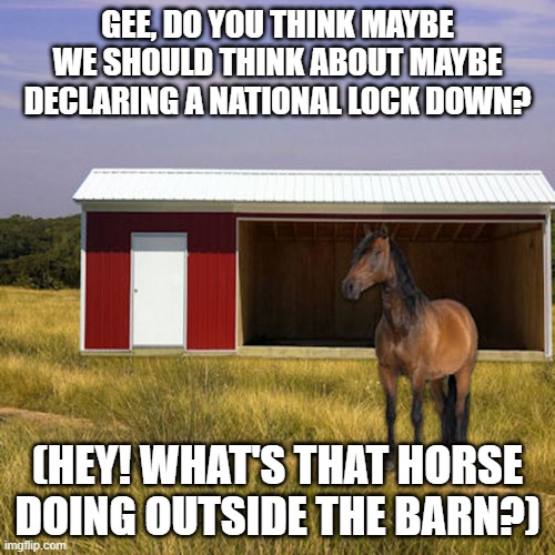 GEE, DO YOU THINK MAYBE WE SHOULD THINK ABOUT MAYBE DECLARING A NATIONAL LOCK DOWN? (HEY! WHAT'S THAT HORSE DOING OUTSIDE THE BARN?) | image tagged in trump | made w/ Imgflip meme maker
