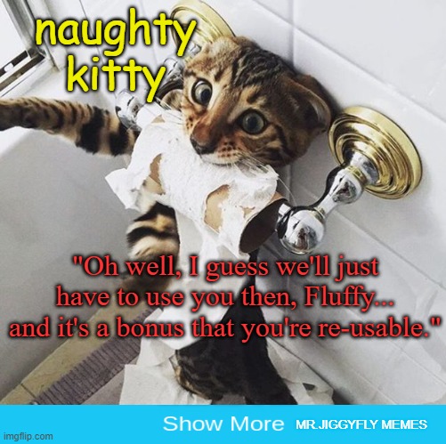 CAT TOILET PAPER | naughty kitty; "Oh well, I guess we'll just have to use you then, Fluffy...
and it's a bonus that you're re-usable."; MR.JIGGYFLY MEMES | image tagged in cat toilet paper,coronavirus,covid-19,toilet paper,hand sanitizer,quarantine | made w/ Imgflip meme maker