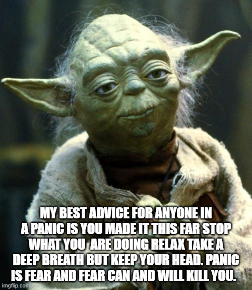 Star Wars Yoda Meme | MY BEST ADVICE FOR ANYONE IN A PANIC IS YOU MADE IT THIS FAR STOP WHAT YOU  ARE DOING RELAX TAKE A DEEP BREATH BUT KEEP YOUR HEAD. PANIC IS FEAR AND FEAR CAN AND WILL KILL YOU. | image tagged in memes,star wars yoda | made w/ Imgflip meme maker