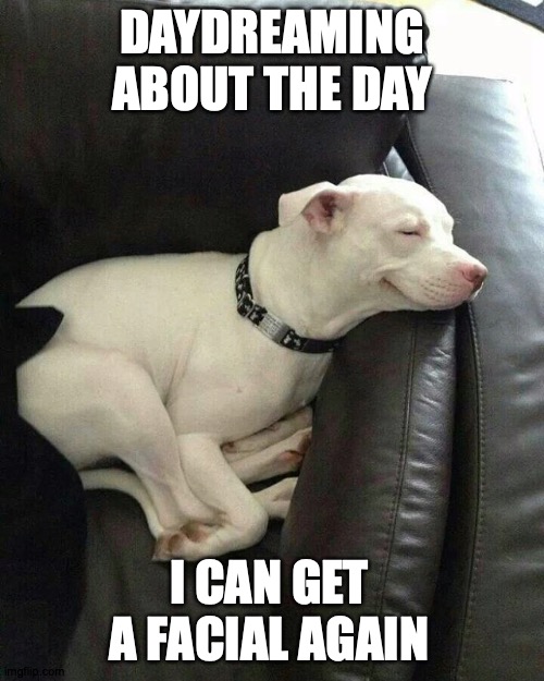 Sleeping Dog | DAYDREAMING ABOUT THE DAY; I CAN GET A FACIAL AGAIN | image tagged in sleeping dog | made w/ Imgflip meme maker