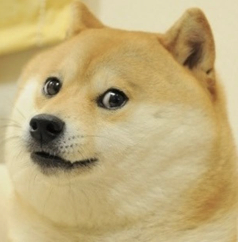 High Quality Doge but cooler Blank Meme Template