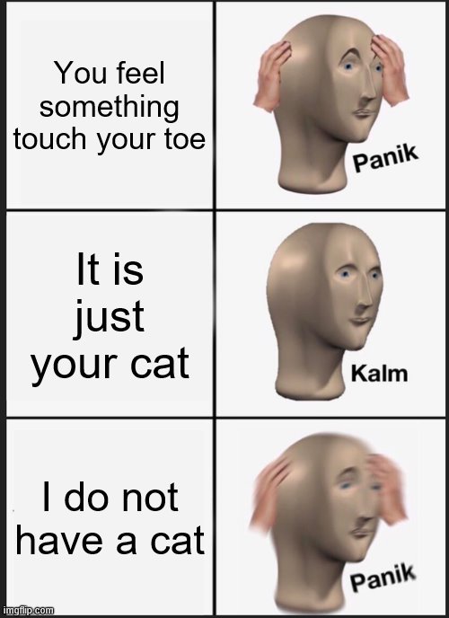 Panik Kalm Panik Meme | You feel something touch your toe; It is just your cat; I do not have a cat | image tagged in memes,panik kalm panik | made w/ Imgflip meme maker