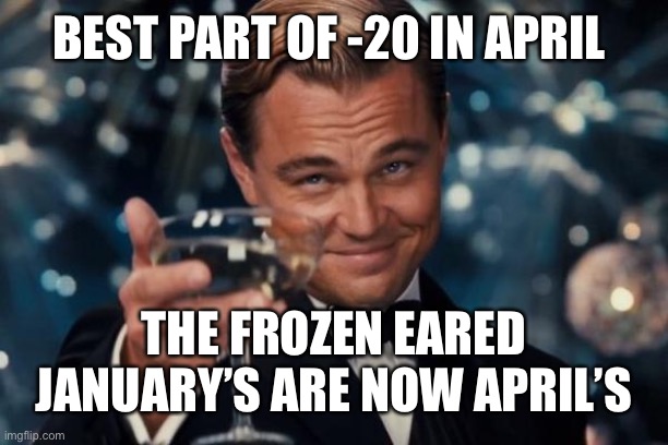 Leonardo Dicaprio Cheers | BEST PART OF -20 IN APRIL; THE FROZEN EARED JANUARY’S ARE NOW APRIL’S | image tagged in memes,leonardo dicaprio cheers | made w/ Imgflip meme maker