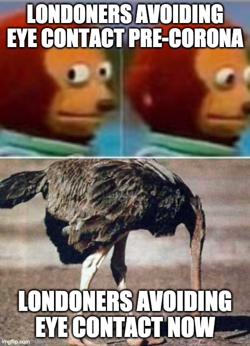 LONDONERS AVOIDING EYE CONTACT PRE-CORONA; LONDONERS AVOIDING EYE CONTACT NOW | image tagged in avoiding ostrich,monkey puppet avoids eye contact | made w/ Imgflip meme maker