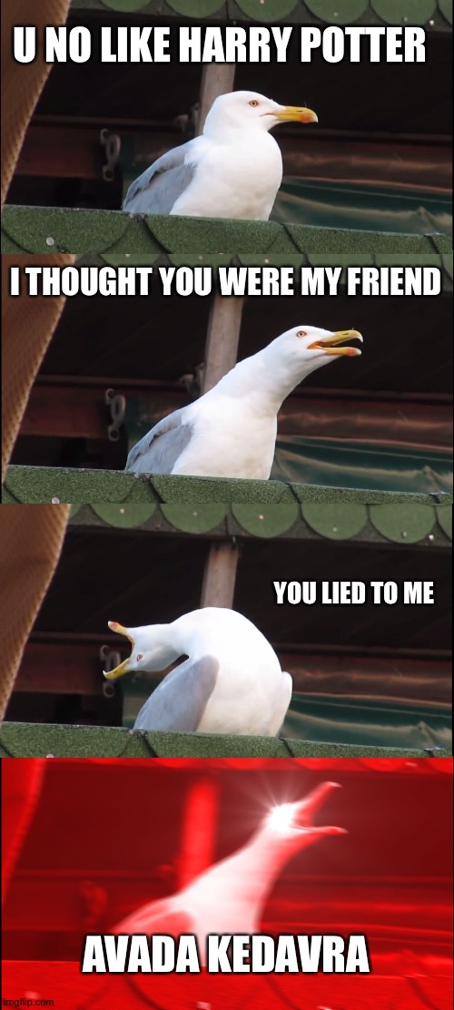 Inhaling Seagull | U NO LIKE HARRY POTTER; I THOUGHT YOU WERE MY FRIEND; YOU LIED TO ME; AVADA KEDAVRA | image tagged in memes,inhaling seagull | made w/ Imgflip meme maker