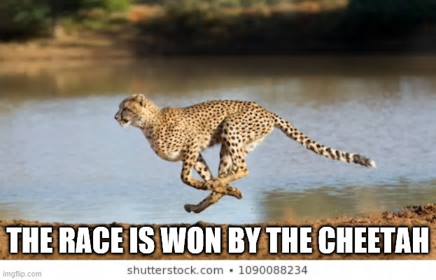 THE RACE IS WON BY THE CHEETAH | made w/ Imgflip meme maker