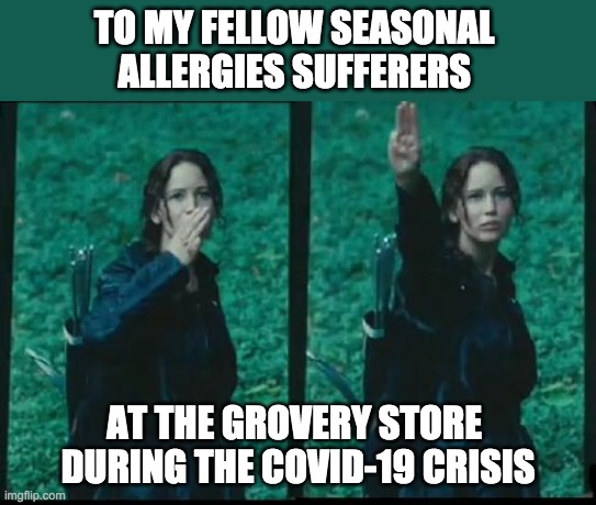 Katniss Respect | TO MY FELLOW SEASONAL 
ALLERGIES SUFFERERS; AT THE GROVERY STORE 
DURING THE COVID-19 CRISIS | image tagged in katniss respect | made w/ Imgflip meme maker