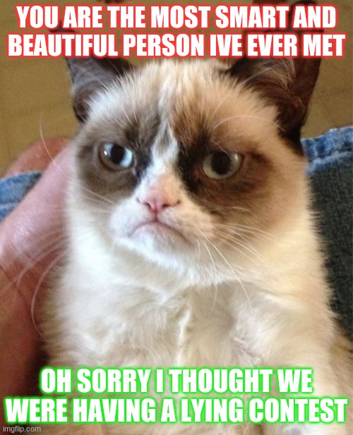 Grumpy Cat | YOU ARE THE MOST SMART AND BEAUTIFUL PERSON IVE EVER MET; OH SORRY I THOUGHT WE WERE HAVING A LYING CONTEST | image tagged in memes,grumpy cat | made w/ Imgflip meme maker