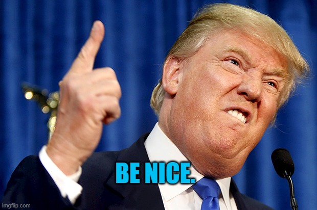 Donald Trump | BE NICE. | image tagged in donald trump | made w/ Imgflip meme maker