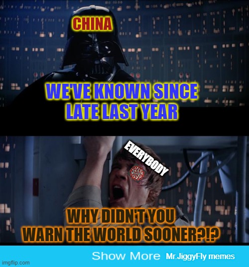 Star Wars No | CHINA; WE'VE KNOWN SINCE
LATE LAST YEAR; EVERYBODY; WHY DIDN'T YOU
WARN THE WORLD SOONER?!? Mr.JiggyFly memes | image tagged in memes,star wars no,china,coronavirus,covid-19,quarantine | made w/ Imgflip meme maker