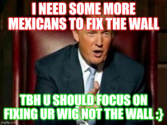 Donald Trump | I NEED SOME MORE MEXICANS TO FIX THE WALL; TBH U SHOULD FOCUS ON FIXING UR WIG NOT THE WALL :} | image tagged in donald trump | made w/ Imgflip meme maker