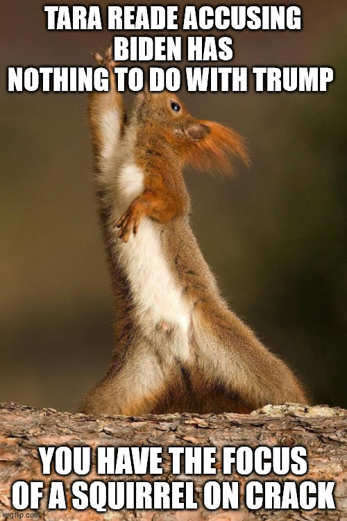 Dancing Squirrel | TARA READE ACCUSING BIDEN HAS NOTHING TO DO WITH TRUMP YOU HAVE THE FOCUS OF A SQUIRREL ON CRACK | image tagged in dancing squirrel | made w/ Imgflip meme maker